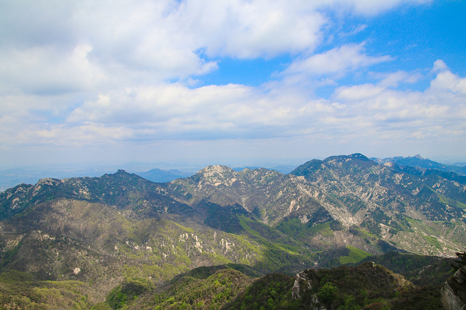 来沂蒙山,我"养"你啊