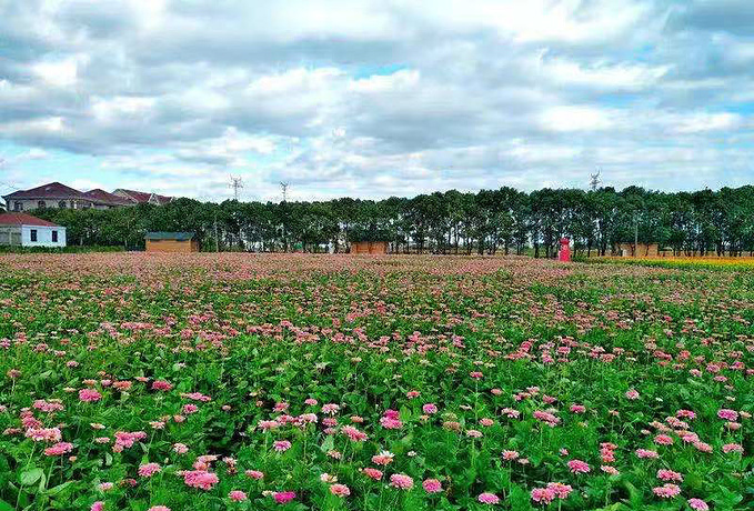 大隐栖都民宿:隐于世的田园风光,体验了特色旅行和开心农场