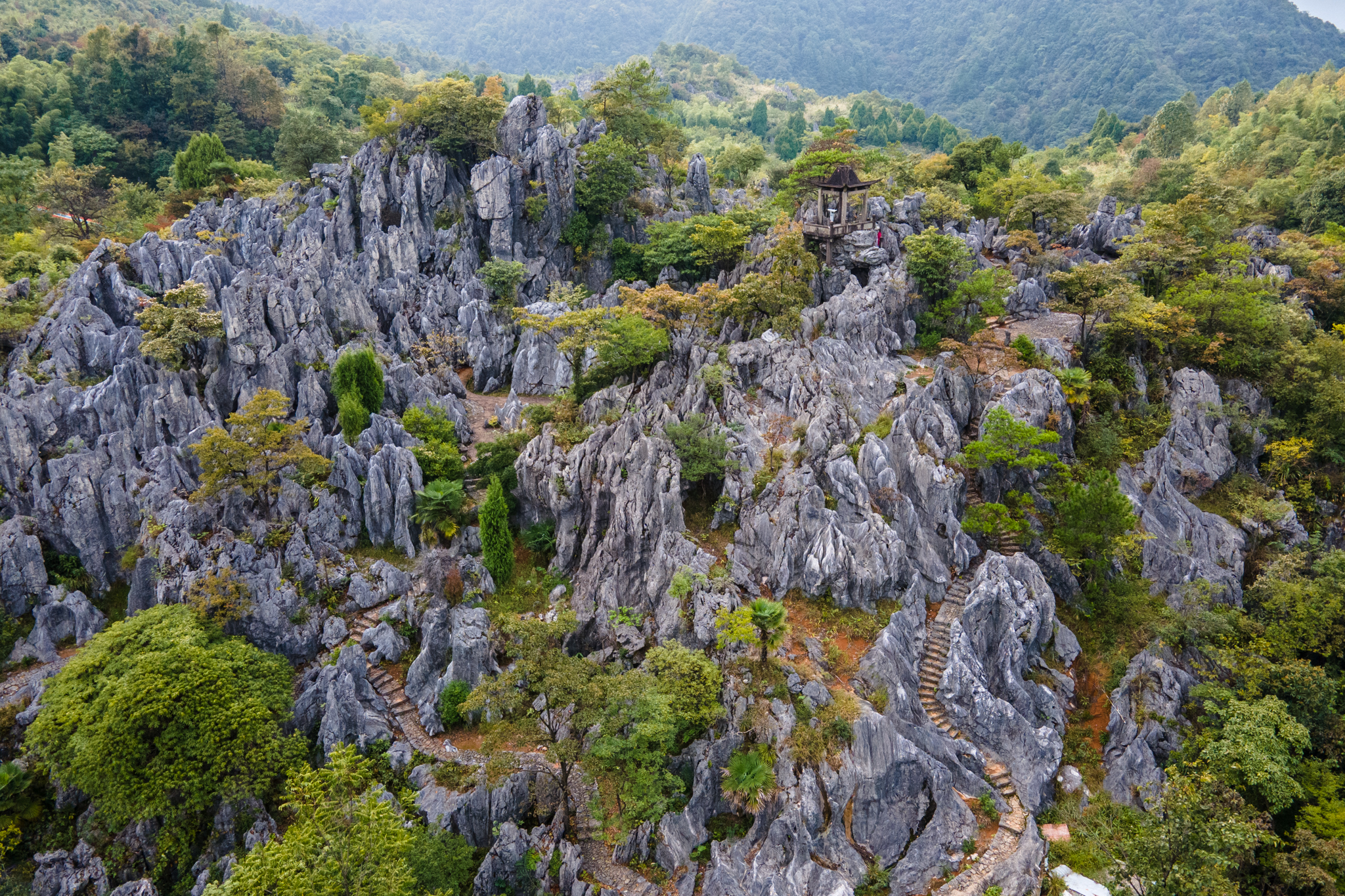 杭州私藏的宝藏秘境:千岛湖石林,解锁云上石林的n种新玩法