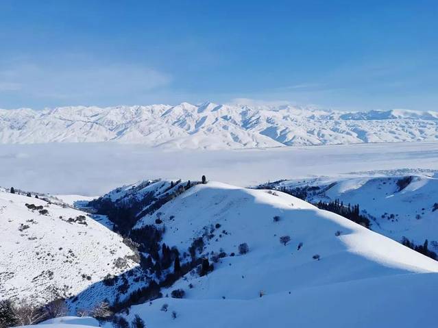 游记详情  冬天到那拉提来看雪,美不胜收,空中草原在白雪的衬托下,更