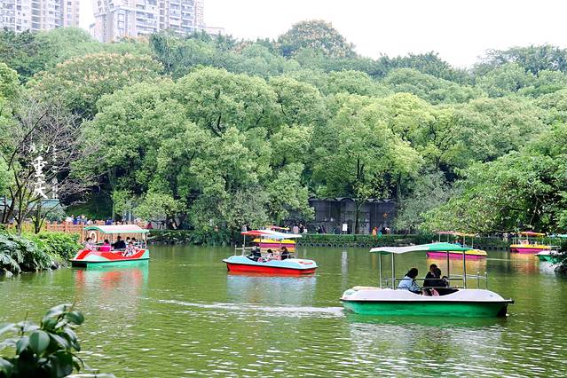 重庆动物园位于九龙坡区杨家坪,是重庆市较大的综合性公园,主要承担"