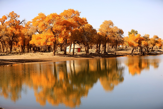 心醉胡杨,情迷弱水,额济纳黑城弱水胡杨风景区吃住游玩儿全攻略