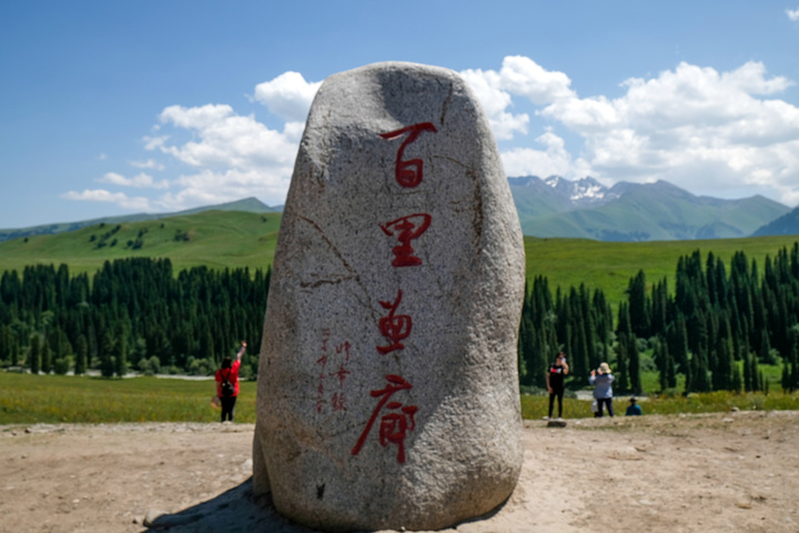 唐布拉风景区从乔尔玛沿着315省道前行就是唐布拉百里画廊风景区唐布