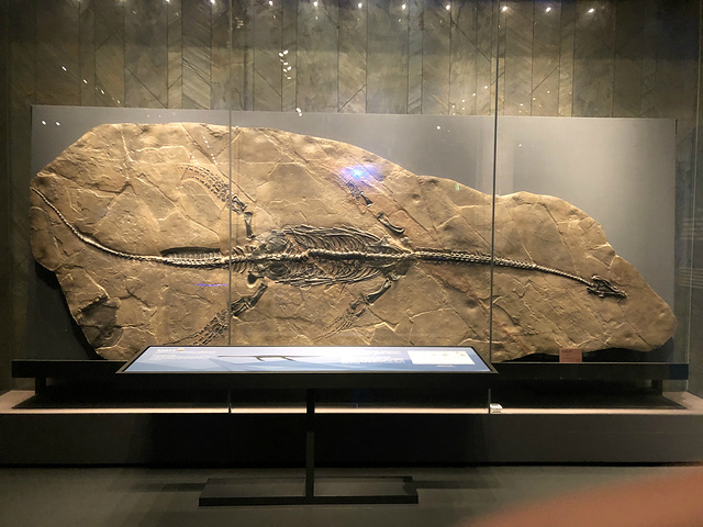 新馆规划的很好按照指示走不会走冤枉路下午去贵州省博物馆看看恐龙