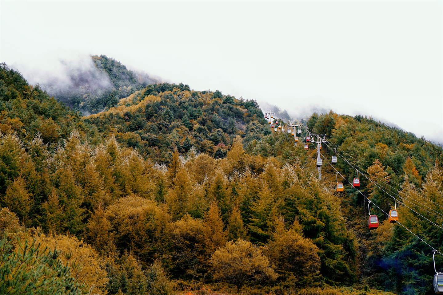 秦岭留坝 | 红叶盛宴在即，这是一场关于秋天的预告