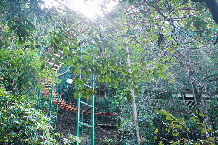 景点杭州市环境教育基地浙江林学院教学实习基地和杭州市级森林公园等