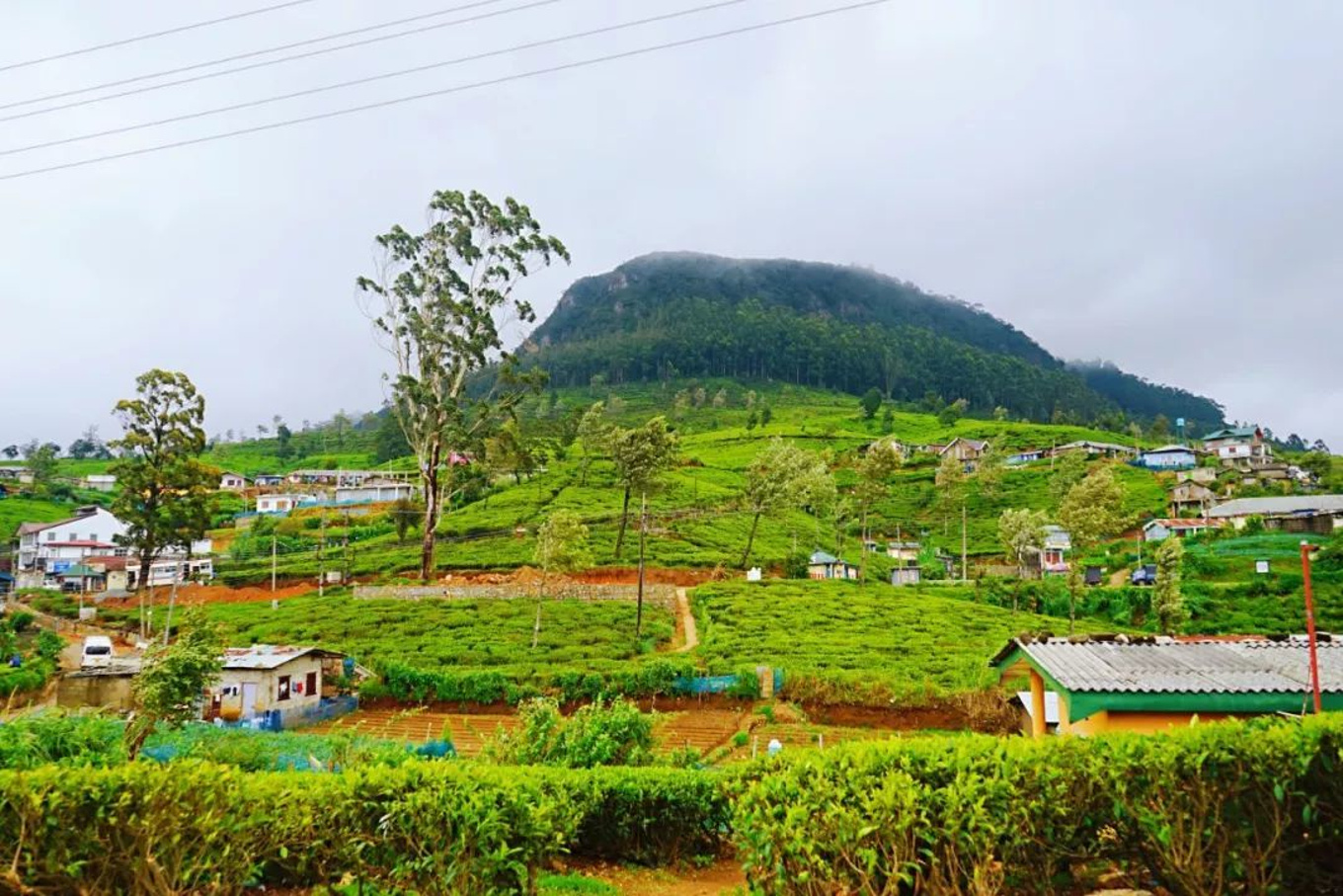 斯里兰卡:这个惊艳岛国签证免费!宫崎骏也为她倾倒!