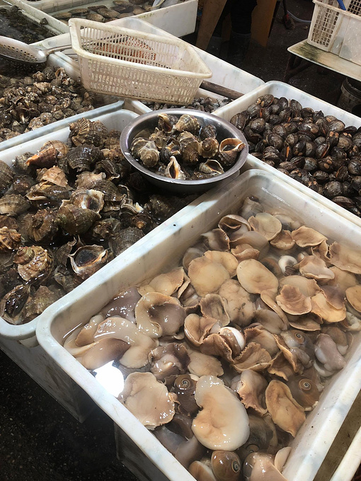 非常多的贝壳类海鲜