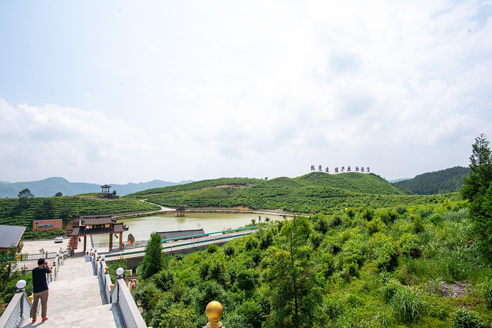 螺丝壳景区凭借都匀毛尖和本身的贵州风景吸引力很多游客和茶友来此处