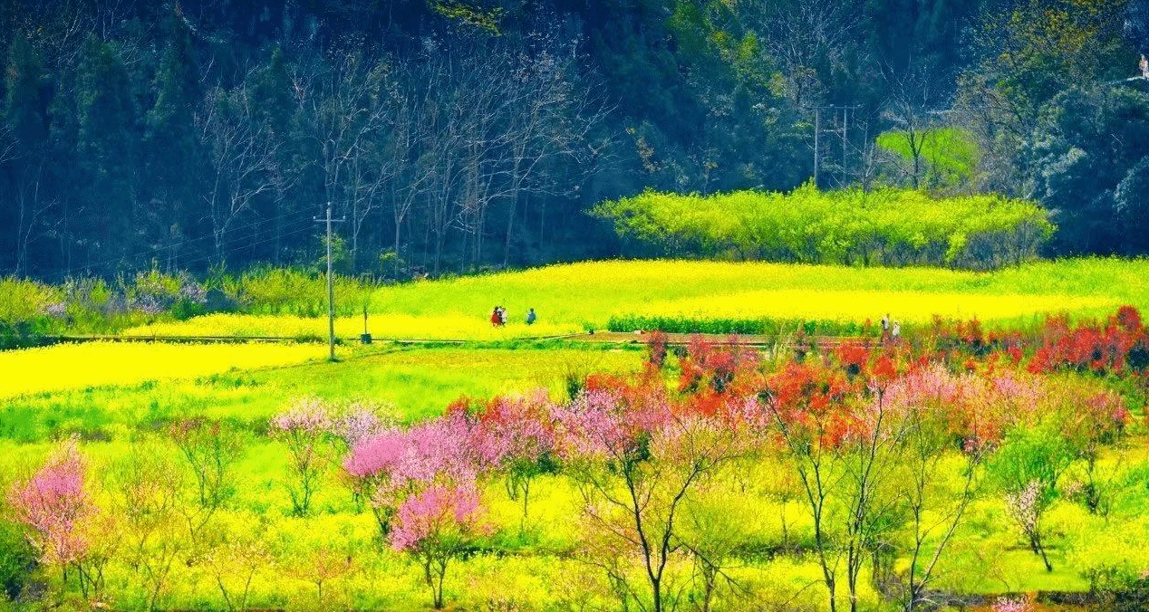 兴义自驾游路线推荐——万峰林景区与鲁屯古镇-兴义旅游攻略-游记-去哪儿攻略