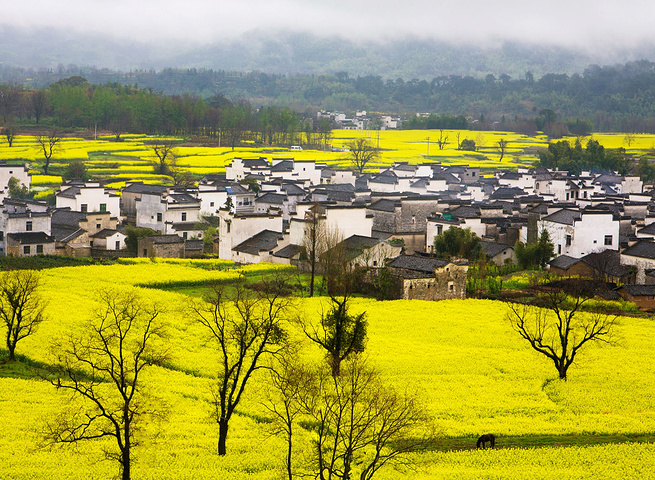 春雨朦胧,远山含黛,流水含情,村庄古朴,田野空旷,百花竞芳……交织成