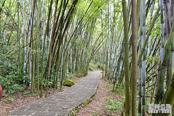 之旅日出,雾凇星空,南方西岳大容山a之旅攻略_玉林v之旅弹弹堂手游试炼塔云海100图片
