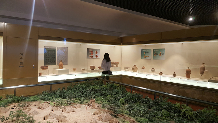 在博物馆,能够迅速的了解当地的历史人文,而甘肃省博物馆的镇馆之宝