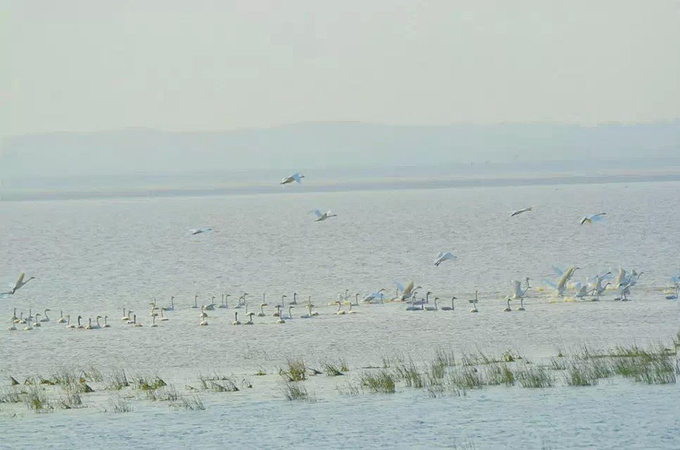 特色景点2 鄱阳湖图片