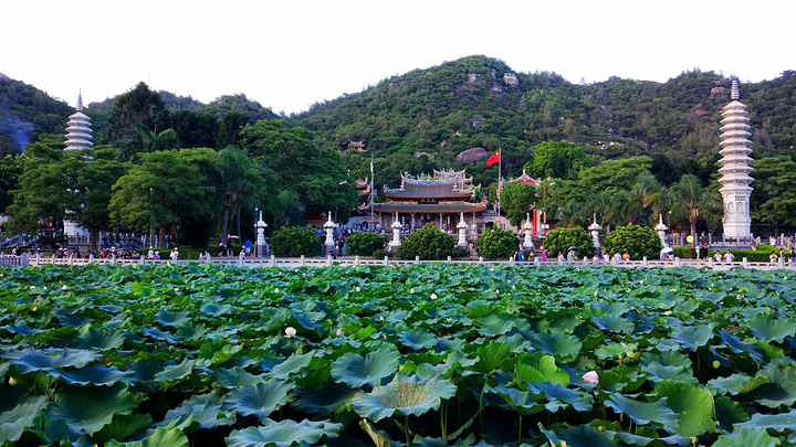 南普陀寺是闽南地区最有名的古刹,和国内很多门票高昂的景区寺庙不同