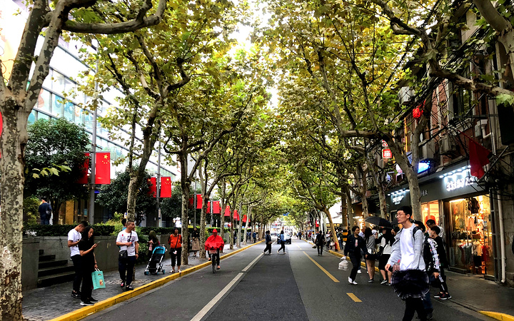 好多玩意儿和艺术品…….感觉上海的大街小巷全是梧桐树