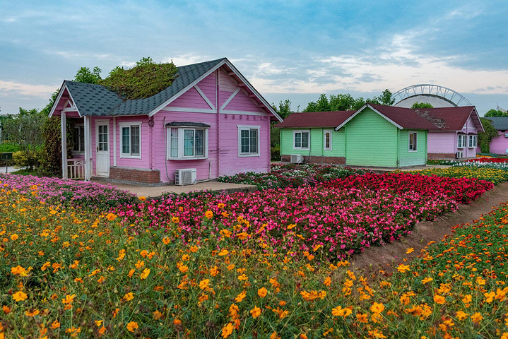 这些花园小木屋是景区的园艺师的住所,住在花海中是件多么幸福的事啊.