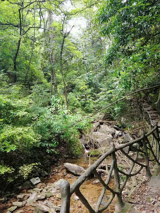 悠游开化古田山