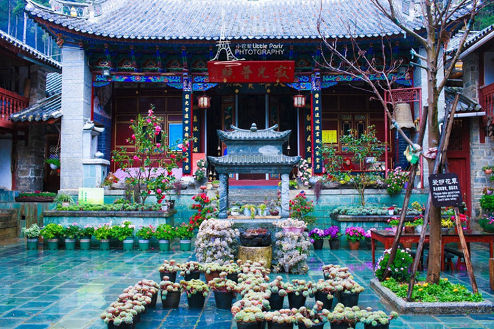 寂照庵位于大理苍山公园内,是很多文艺小姐姐的向往之地.