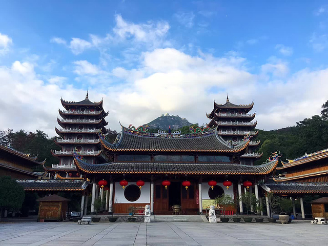 鼓山鸟瞰福州夜景.还是最爱小时候摸过的痒痒树想象紫薇树真的怕痒痒.