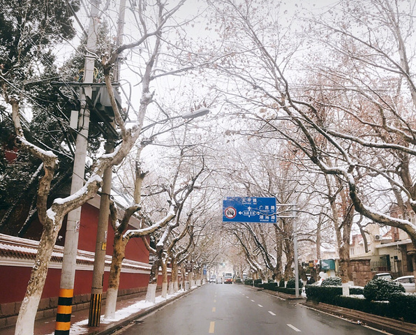 2020随走随拍,都是最美的风景.若是下雪,应该会更美吧
