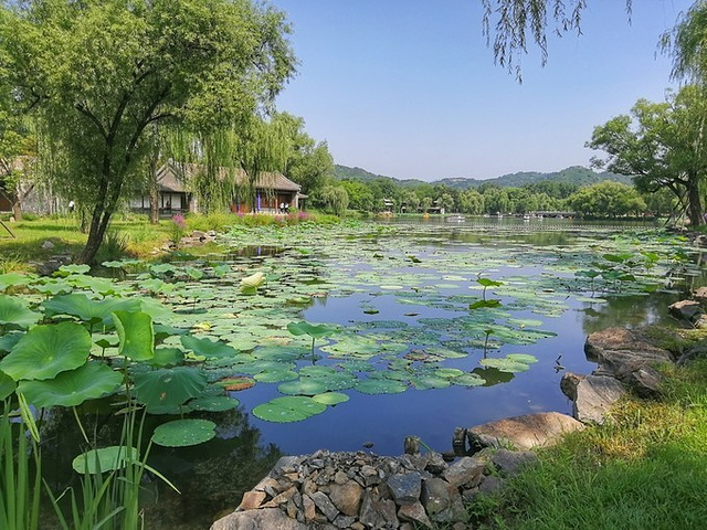 湖区作为精华景区夏天时的景色确实很棒,游览时如果是几个人的话也