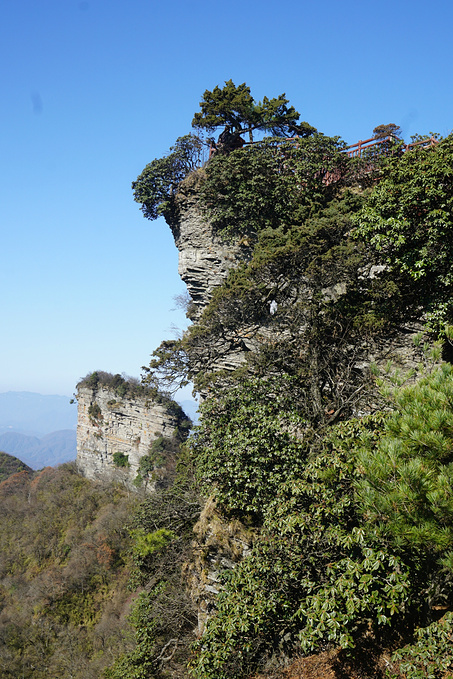 光雾山四景区金秋畅游记-巴中旅游攻略-游记-去哪儿