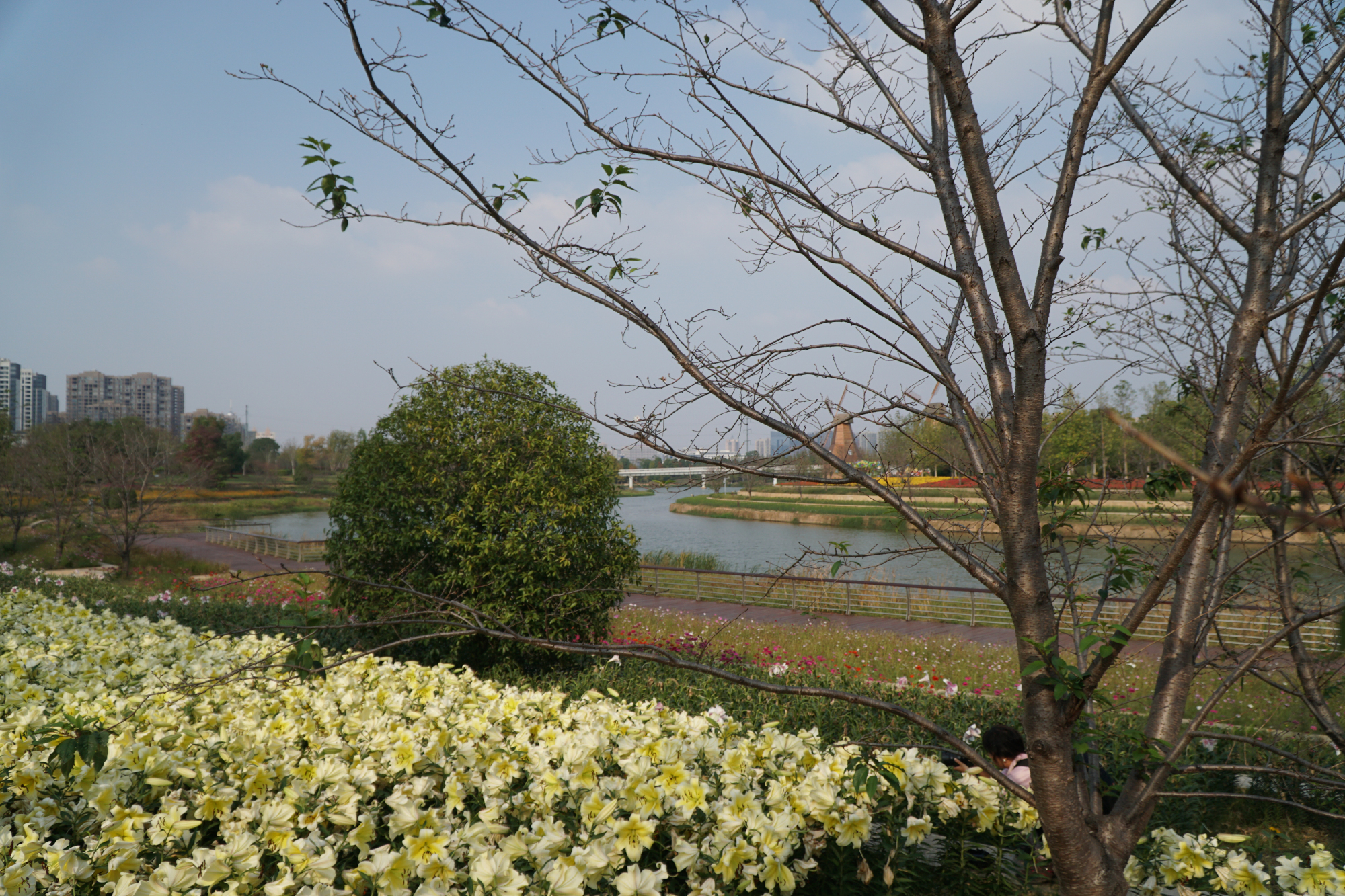 抚州三翁花园景如画 春暖花开香怡人