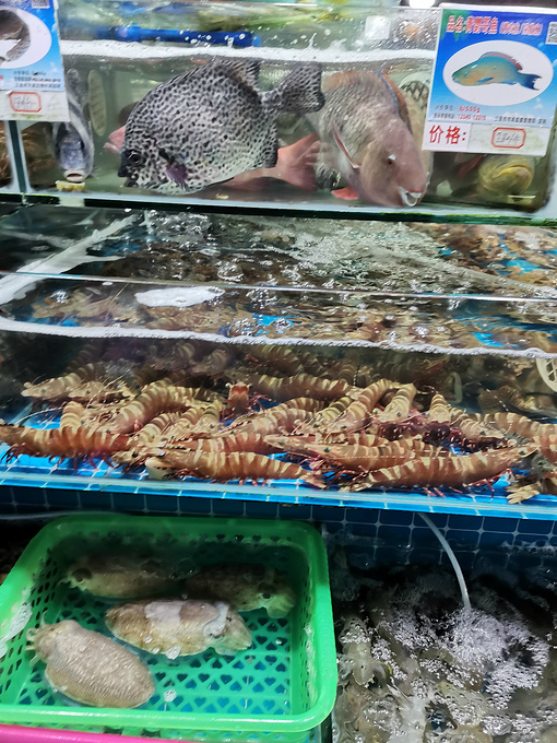 最省钱的三亚17日深度游  去了第一市场,更勾起了海鲜瘾,下午拼车去了