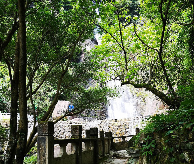 初夏的青田 千丝岩景区游记