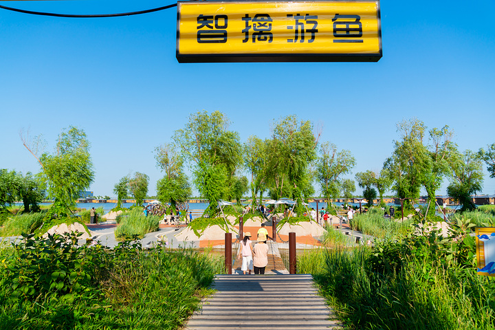 你也可以乘坐水陆两栖战车下水冲浪看湿地的最美风景深入多玛乐园探索