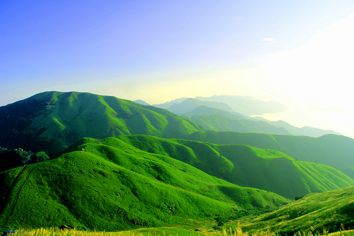 高山草甸是许多人对于这座江西名山的印象,无线延伸的绿色给人一种