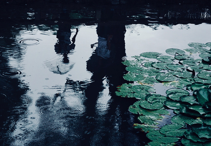 本人最爱雨季去园林晃悠雨水滴落在满是历史的屋檐上才最有烟雨江南的