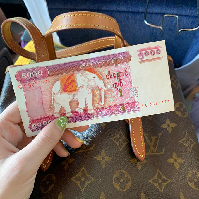 5000缅币的大象好可爱