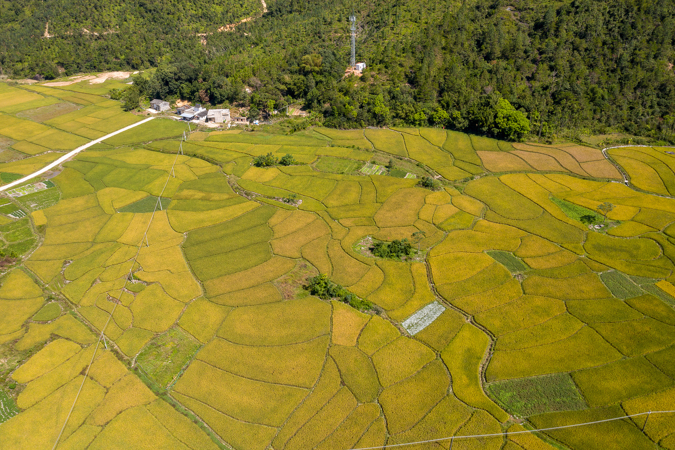 白马村,地势平坦,犹如小平原,周边群山