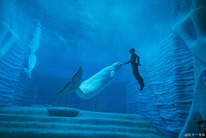 三亚亚特兰蒂斯失落的空间水族馆图片