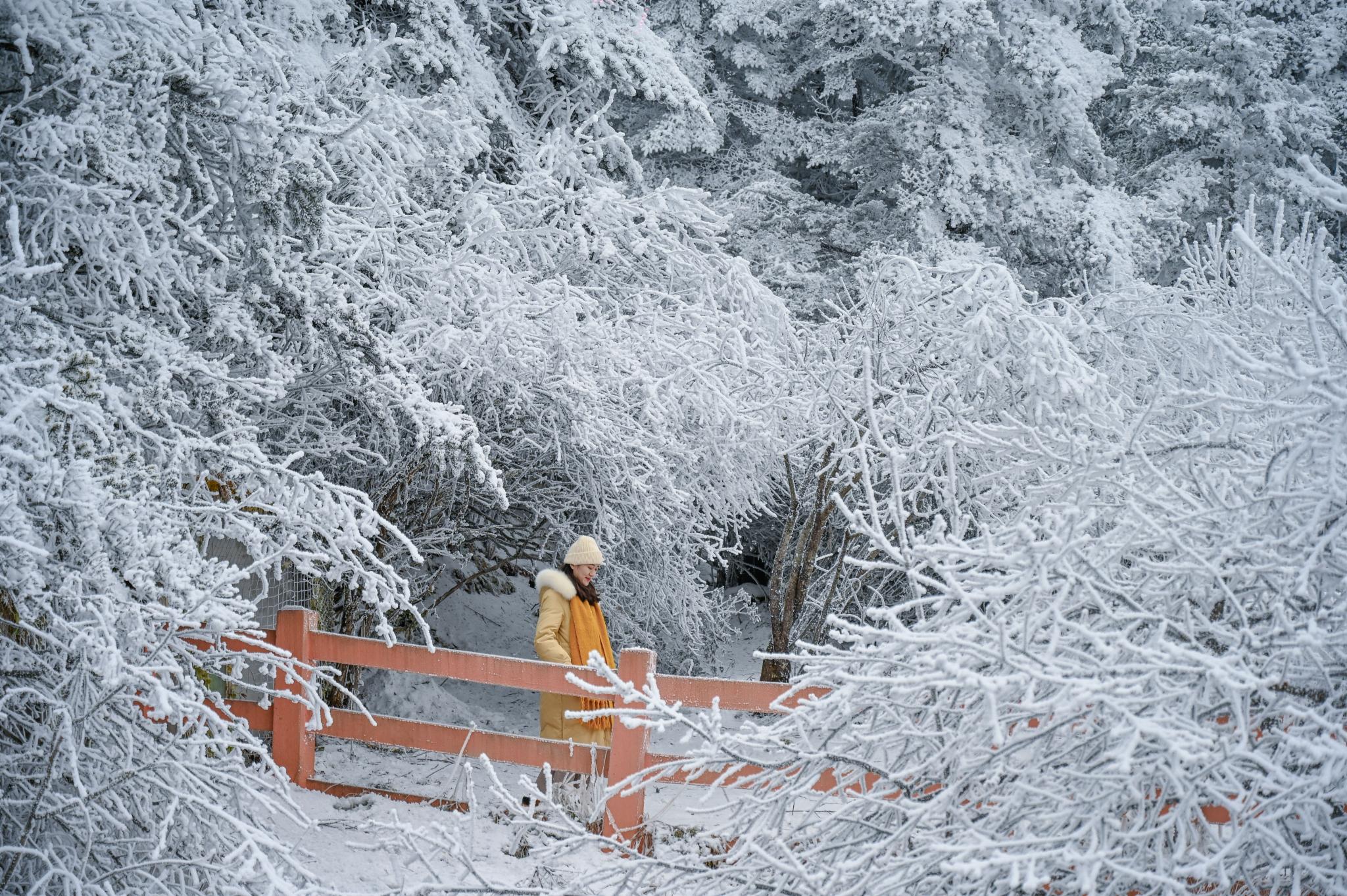 冬游峨眉山｜邂逅一场冰雪奇缘