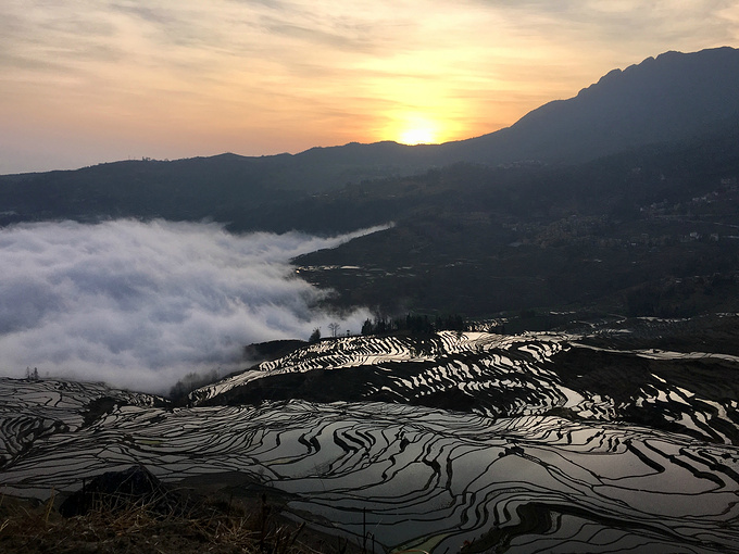 多依树梯田图片