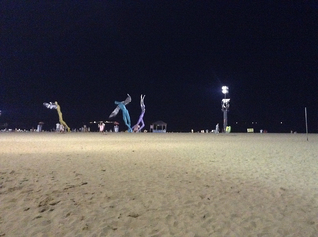 夏天的时候晚上去大梅沙的人还挺多的很多人都去游泳的我就去看看夜景
