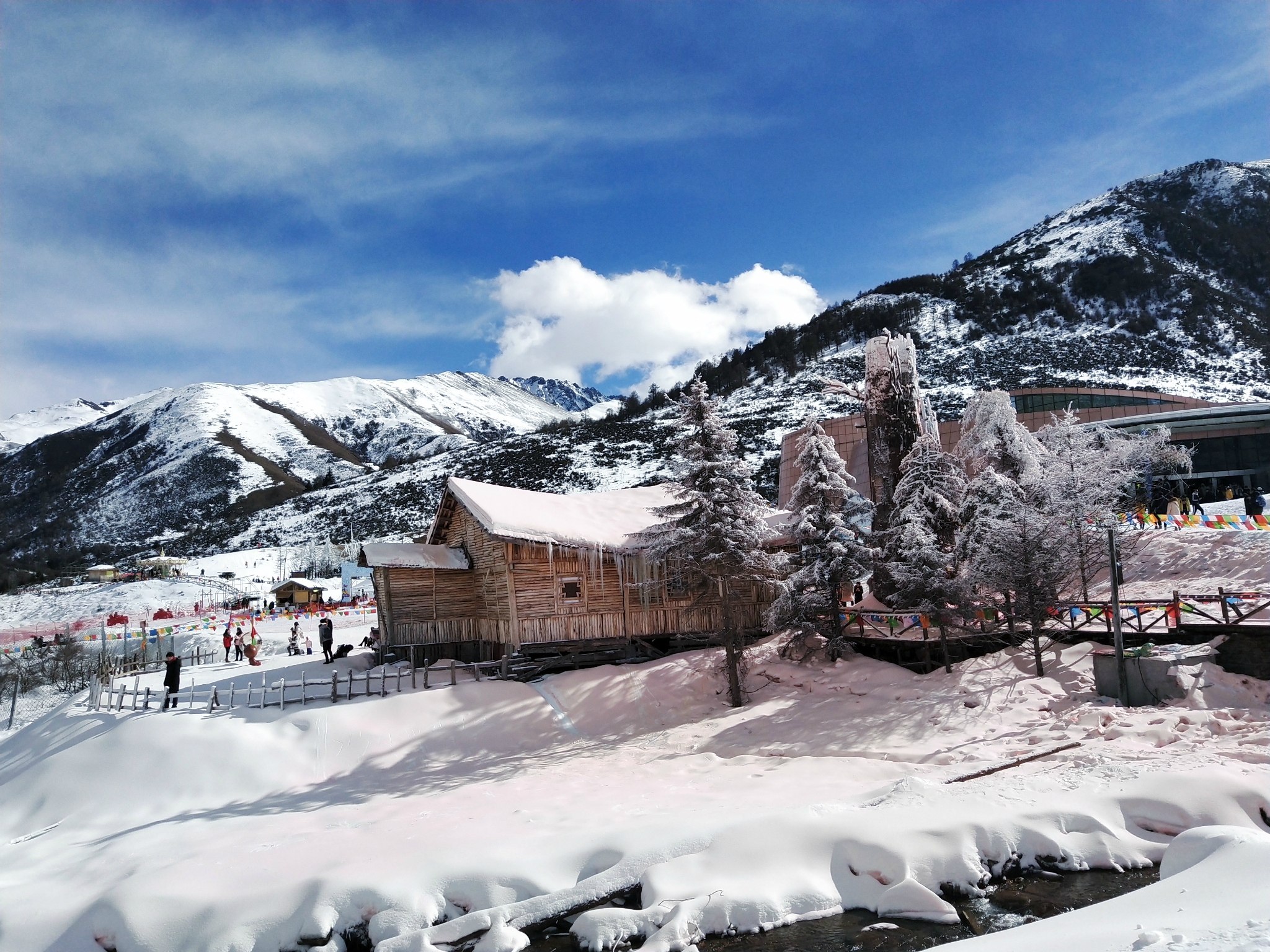 四川理县鹧鸪山自然公园-赏粉红色的雪