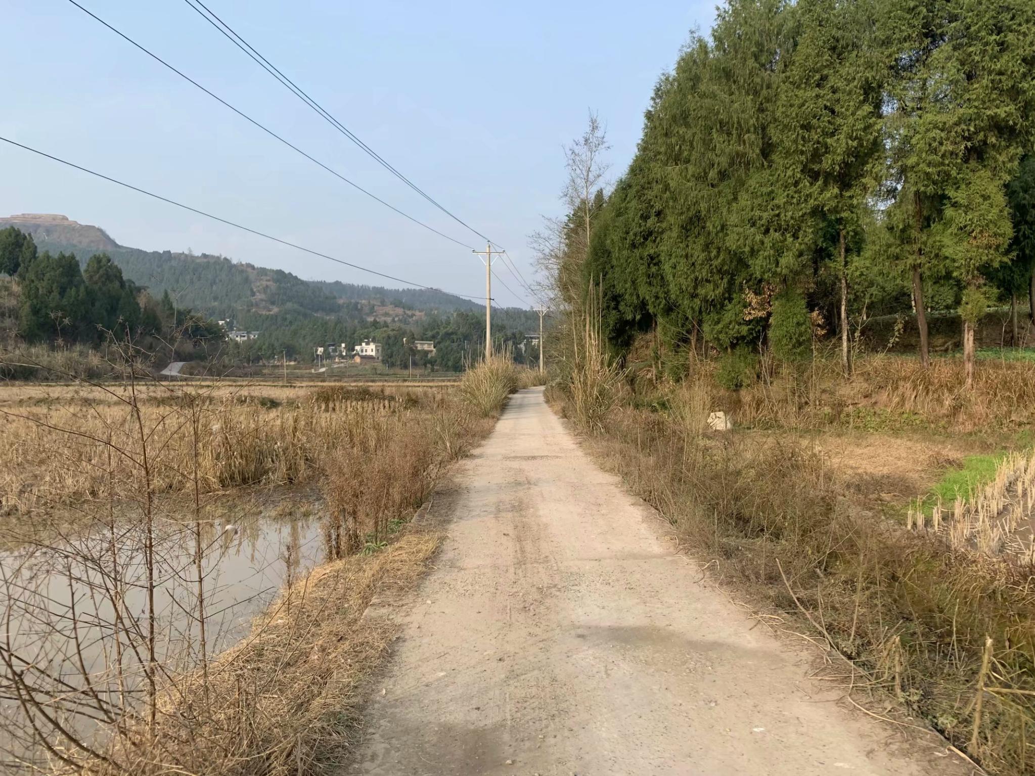 沿风景如画的仪陇县——泉水村