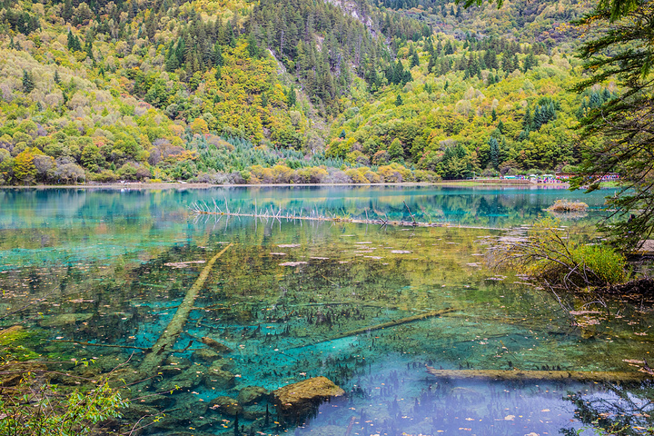 一句"九寨归来不看水",是对九寨美景最好的诠释_九寨沟风景区"的