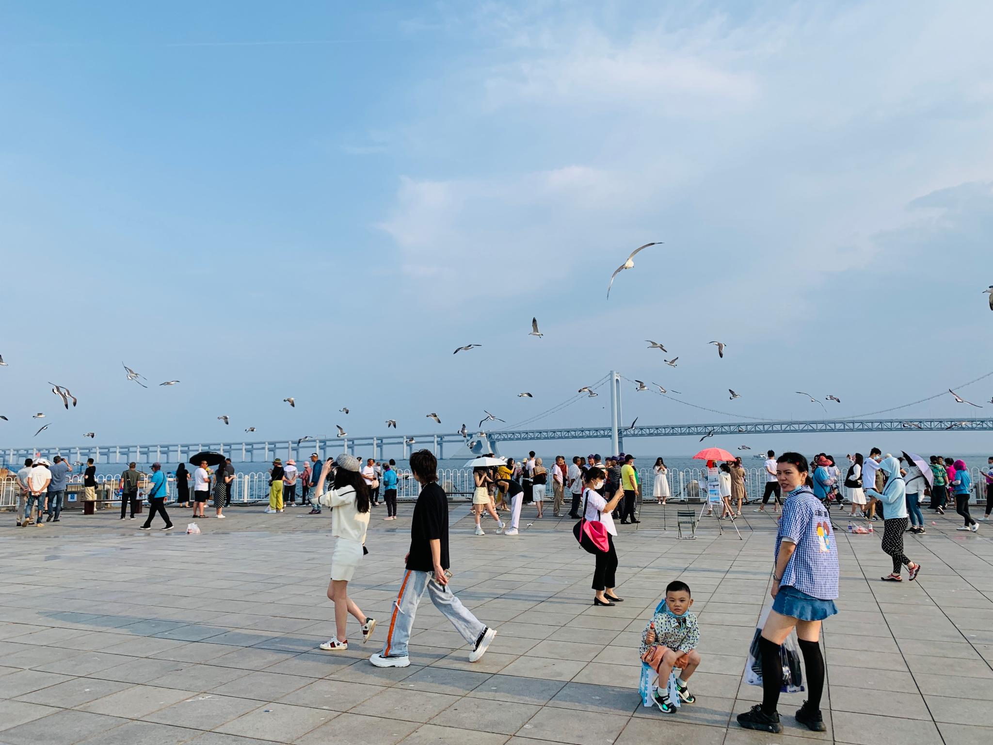 收藏慢慢玩，学生党大连旅游攻略