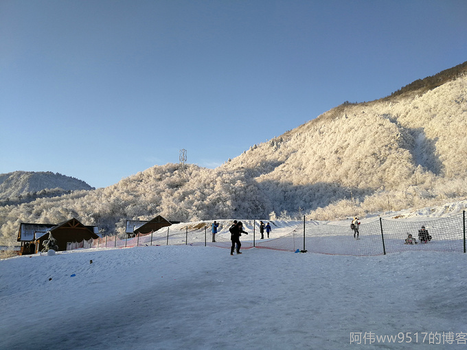 西岭雪山日月坪图片