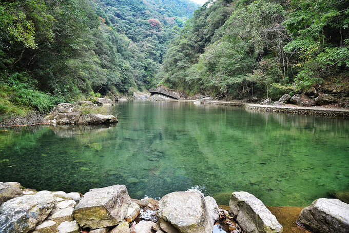 铜铃山森林公园图片