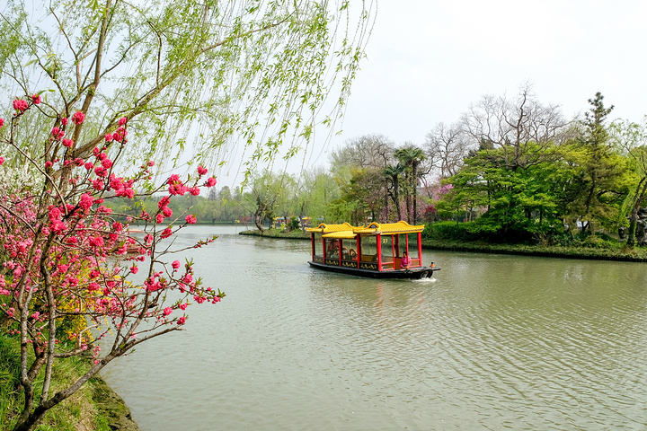 "长堤春柳"是扬州二十四景之一.瘦西湖骑行去瘦西湖.