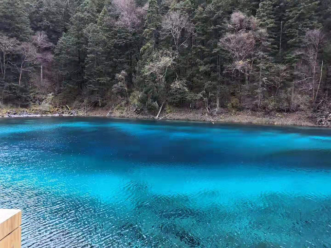 九寨沟,攻略~人间仙境》九寨沟,旅游攻略不负好时光