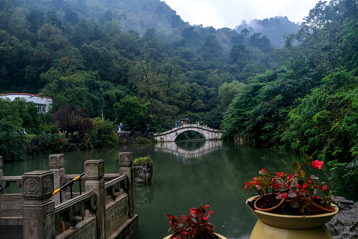 雨中漫步黔灵山,山青水秀空气鲜,西门观湖风光好,南门猴群窜遍山.