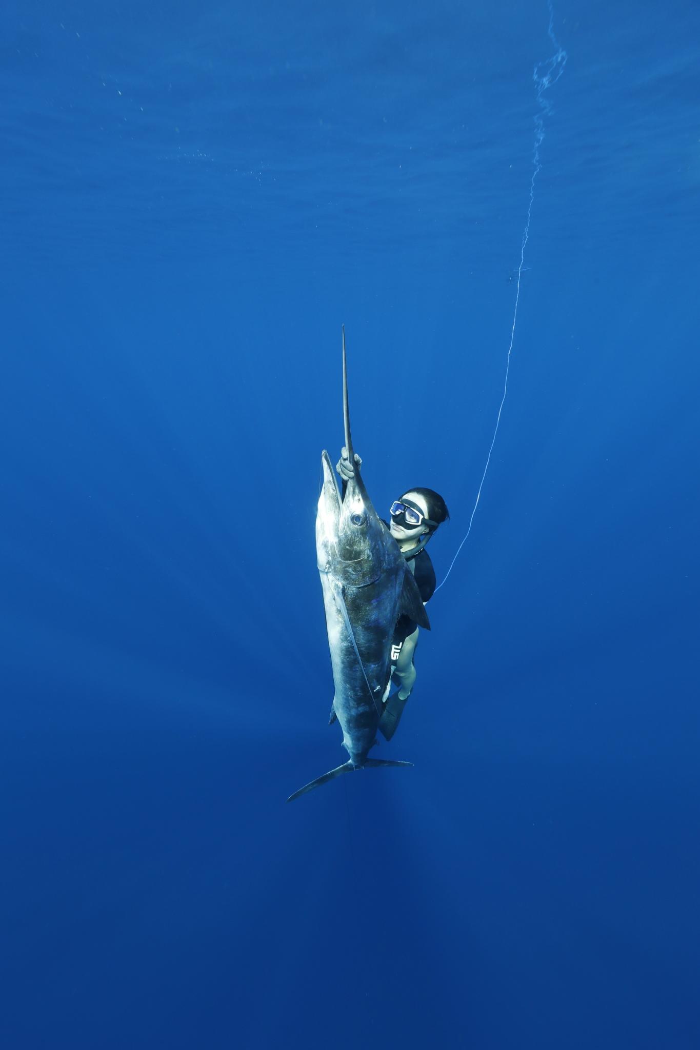 渔猎墨西哥:猎捕鱼深度体验,寻找藏在海洋里的魅力生物