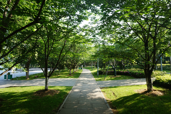 来到一个城市,我都会去感受这座城市早晨的魅力,绍兴的早晨很安静